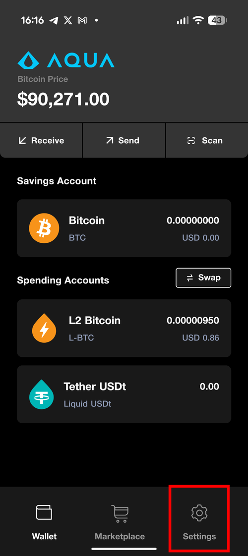 Aqua wallet main screen showing Bitcoin and Liquid balances with Settings tab highlighted in the bottom navigation