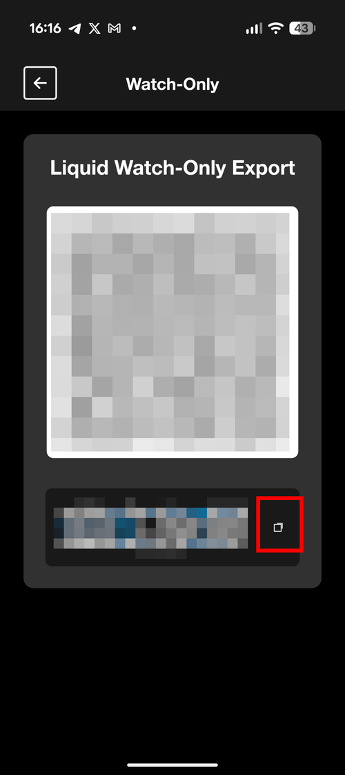 Liquid Watch-Only Export screen displaying QR code and descriptor text with copy button highlighted