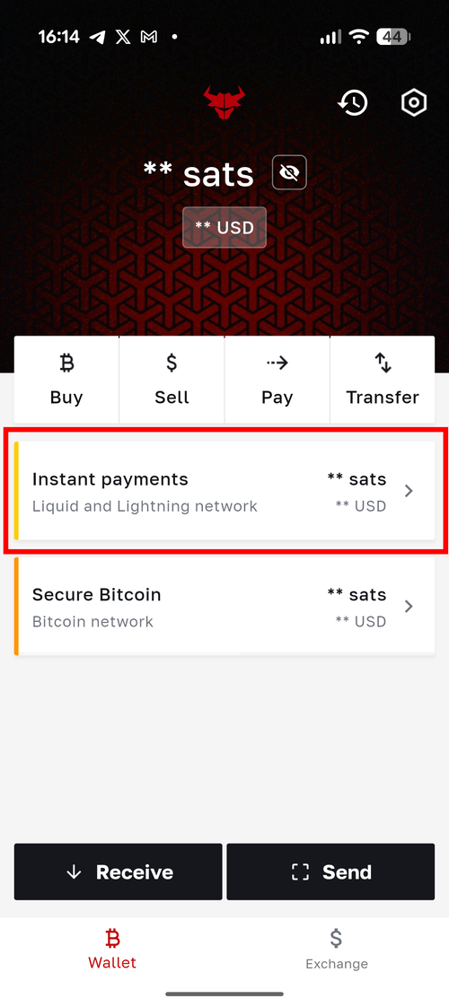 Bull Bitcoin main wallet screen showing Instant payments section highlighted for Liquid and Lightning network