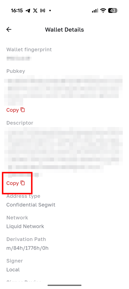 Wallet Details screen showing Descriptor section with Copy button highlighted, displaying address type as Confidential Segwit on Liquid Network